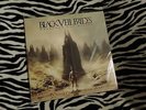 Black Veil Brides ?- Wretched And Divine: The Story Of The Wild Ones (2 LP) GLAM