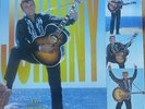 Vinyl 25cm Johnny Hallyday en Anglais JBM 037