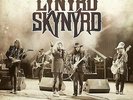 Lynyrd Skynyrd - Sweet Home Alabama (Vinyl LP / Album) (New)
