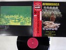 JOHN TCHICAI AND CADENTIA NOVA DANICA AFRODISIACA MPS YS-2404-MP Japan OBI LP