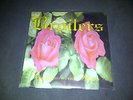 BROILERS - Schenk Mir Eine Blume - 7