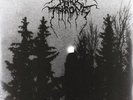 Panzerfaust [12 inch Analog] Darkthrone LP Record