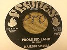 Nairobi Sisters Promised Land Rare Killer Roots 7