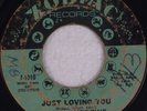 RUBY ANDREWS: Just Loving You ZODIAC Northern Soul Monster 45 HEAR IT