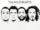 The Wildhearts - The Wildhearts (2LP set/White Vinyl) Brand new / sealed