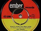 RAY SINGER - What's Done Has Been Done / Won't It Be Fine .. RARE 1966 45rpm