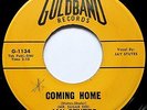 JAY STUTES & SUGAR BEES   Coming Home   CAJUN ROCKABILLY ROCKER Goldband   HEAR