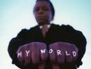 LEE FIELDS AND THE EXPRESSIONS-MY WORLD (INSTRUMENTALS)-VINYL LP TRUTH AND  NEU