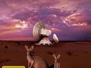 SELECTIONS-THE BEST IN CONCERT (BOX)-THE AUSTRALIAN PINK FLOYD SHOW-BLU RAY NEU