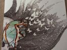 The Luck Of Eden Hall Butterfly Revolutions Vol 1&2 Head spin LP Colour Vinyl