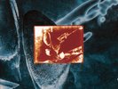 Dire Straits : On Every Street Vinyl 12