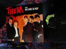 MONO 1965 THEM   VAN MORRISON GLORIA Garage Fuzz Punk Howling Snarl MYSTIC EYES