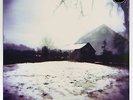 Horse Feathers ?- House With No Home (LP, Vinyl) - New & Sealed