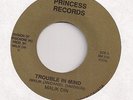 MALIK DIN : Trouble In Mind (Princess) Seattle NW Electro Boogie Soul 45 HEAR