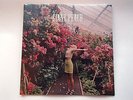 WOLF ALICE - GIANT PEACH -  LTD 7