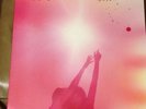 Passion Pit Gossamer vinyl LP Like New Record