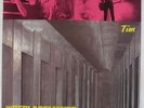 Replacements - Tim LP - Sire VG++