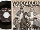 SAM THE SHAM AND THE PHARAOHS WOOLY BULLY & MOVE GERMAN 45+PS 1965 R&B MOD SOUL