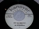 The Instrumentals - Are You Nervous 45 on Hanover Promo VG+
