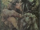 John Mayall vinyl LP album record Blues From Laurel Canyon - 4th UK SKL4972
