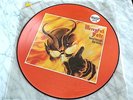 Mercyful Fate Picture Disc 