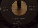 Mojo Buford and His Chi 4, My Mojo's Workin' w/ Whole Lot's A Woman, Unplayed 45