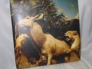 2007 Interpol Our Love to Admire US 2 LP Vinyl Record & CD