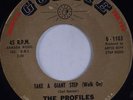 THE PROFILES: Take a Giant Step (Walk On) GOLDIE Northern Soul 45 ORIG VG++ Hear