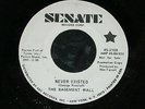 The Basement Wall - Never Existed 1967  American 60`s Garage Senate 45
