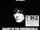 T.Rex-Dandy in the Underworld Vinyl / 12