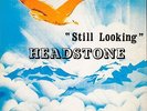 Still Looking  Headstone Vinyl Record