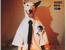 Working Class Dog  Rick Springfield  Vinyl Record