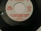 Dana Valery You Dont Know where your interest lies 7