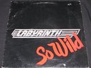 LABYRINTH so wild RARE PRIVATE PRESS METAL 1985 mn LA GUNS holy soldier SAINT