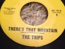 Rare Northern Soul The Trips There's That Mountain Soundville