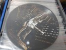 AC/DC - Stiff upper lip Picture Vinyl NEU