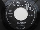 THE GODS – 45 Italy * EX * Hey Bulldog * 1969 * COLUMBIA DB 8544 ? ?