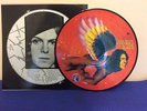 David Bowie The Man who sold the world picture disc