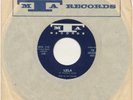 DESCENDANTS on MTA —GARDEN OF EDEN b/w LELA— 60s garage rock 45 | US ORIG