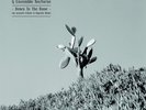 SYLVAIN CHAUVEAU Down to the Bone [an acoustic Tribute to Depeche Mode] LP VINYL