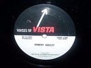 RADIO PROMO LP VOICES OF VISTA SHOW 191 JOHNNY MATHIS & SHOW 192 ROBERT GOULET
