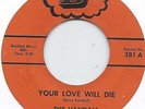 THE VANDALS YOUR LOVE WILL DIE b/w MARY CLEAN  RARE ATLANTA GARAGE 45 D