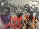 TAMAM SHUD - Evolution RARE Vinyl Record LP