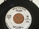 Northern soul 45 Susan Barrett, what's it gonna be original RCA Demo