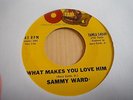 SAMMY WARD - WHAT MAKES YOU LOVE HIM - TAMLA