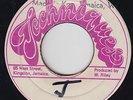 Reggae 45 - Unknown Artist - Rise & Fall - Techniques (Pre-Release) - mp3