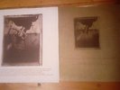 The Pixies- Surfer Rosa Vinyl LP