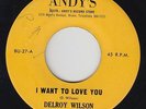 Reggae 45 - Delroy Wilson - I Want To Love You - Andy's - VG+ mp3