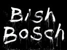 SCOTT WALKER Bish Bosch UK 180g vinyl 2LP + CD UNPLAYED 4AD