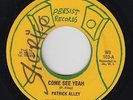 Roots Reggae 45 - Patrick Alley - Come See Yeah - Persist - VG+ mp3